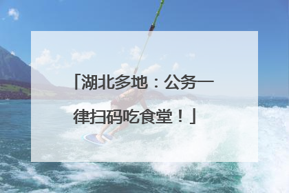 湖北多地：公务一律扫码吃食堂！