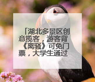 湖北多景区创意揽客，游客背《离骚》可免门票，大学生通过率高