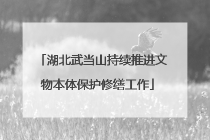 湖北武当山持续推进文物本体保护修缮工作