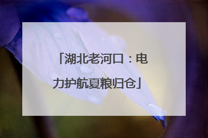 湖北老河口：电力护航夏粮归仓
