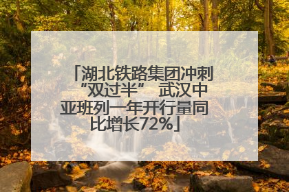 湖北铁路集团冲刺“双过半” 武汉中亚班列一年开行量同比增长72%