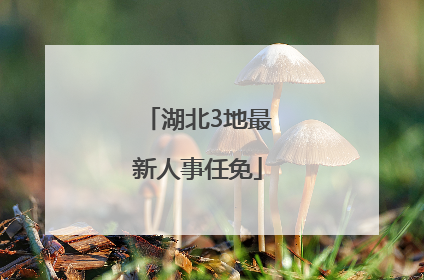 湖北3地最新人事任免