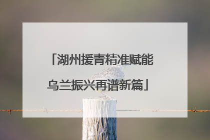 湖州援青精准赋能 乌兰振兴再谱新篇