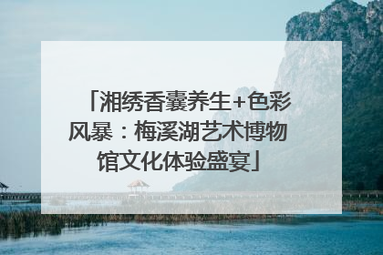湘绣香囊养生+色彩风暴：梅溪湖艺术博物馆文化体验盛宴
