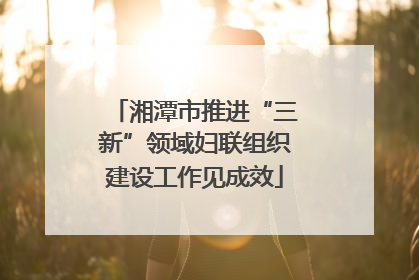 湘潭市推进“三新”领域妇联组织建设工作见成效