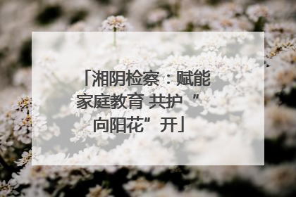 湘阴检察：赋能家庭教育 共护“向阳花”开