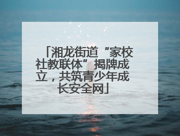 湘龙街道“家校社教联体”揭牌成立，共筑青少年成长安全网