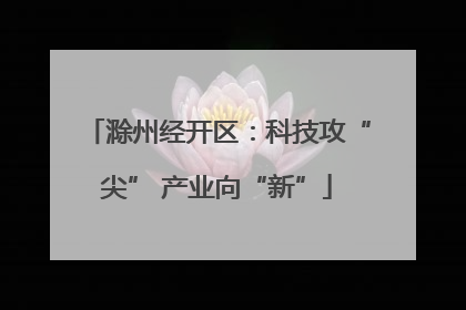 滁州经开区：科技攻“尖” 产业向“新”
