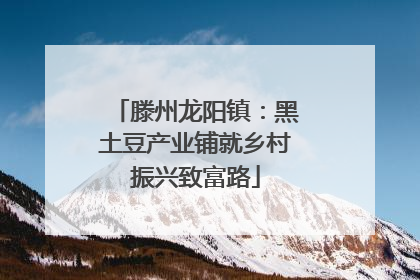 滕州龙阳镇：黑土豆产业铺就乡村振兴致富路