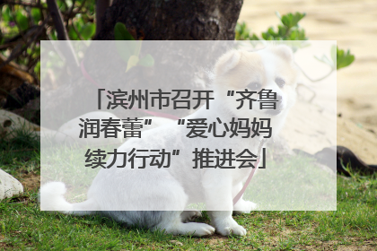 滨州市召开“齐鲁润春蕾”“爱心妈妈续力行动”推进会