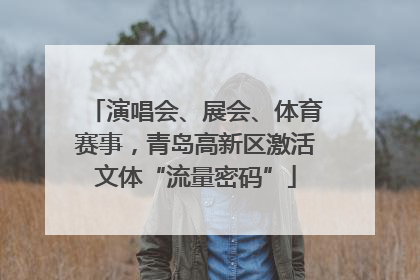 演唱会、展会、体育赛事，青岛高新区激活文体“流量密码”