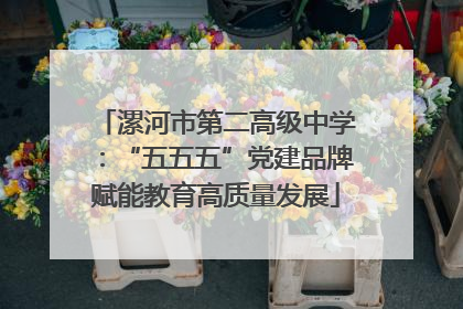 漯河市第二高级中学：“五五五”党建品牌赋能教育高质量发展
