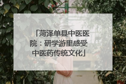 菏泽单县中医医院：研学游里感受中医药传统文化