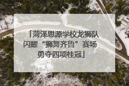 菏泽思源学校龙狮队闪耀“狮舞齐鲁”赛场 勇夺四项桂冠