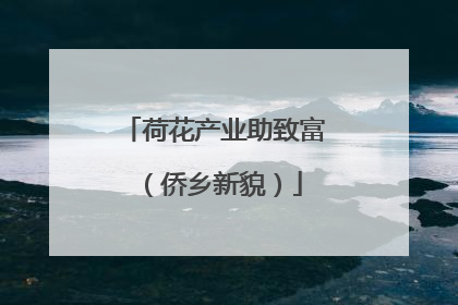 荷花产业助致富（侨乡新貌）