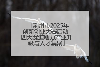 荆州市2025年创新创业大赛启动 四大赛道助力产业升级与人才集聚