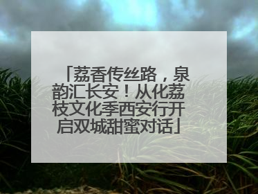 荔香传丝路，泉韵汇长安！从化荔枝文化季西安行开启双城甜蜜对话