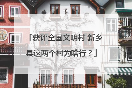 获评全国文明村 新乡县这两个村为啥行？