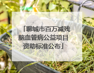 聊城市百万减残脑血管病公益项目资助标准公布