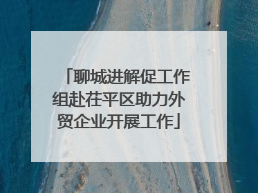 聊城进解促工作组赴茌平区助力外贸企业开展工作