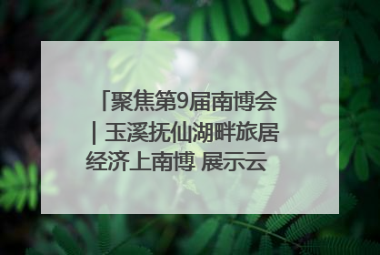 聚焦第9届南博会｜玉溪抚仙湖畔旅居经济上南博 展示云南生活新样本