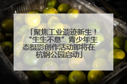聚焦工业遗迹新生！“生生不息”青少年生态摄影创作活动即将在杭钢公园启动