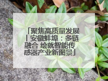 聚焦高质量发展丨安徽蚌埠：多链融合 绘就智能传感器产业新图景