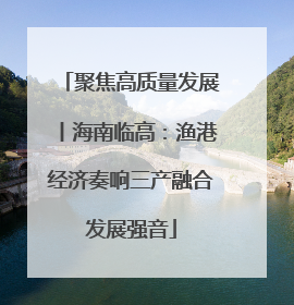 聚焦高质量发展丨海南临高：渔港经济奏响三产融合发展强音