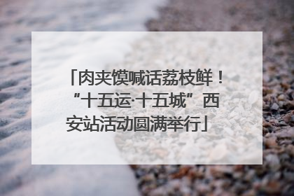 肉夹馍喊话荔枝鲜！“十五运·十五城”西安站活动圆满举行