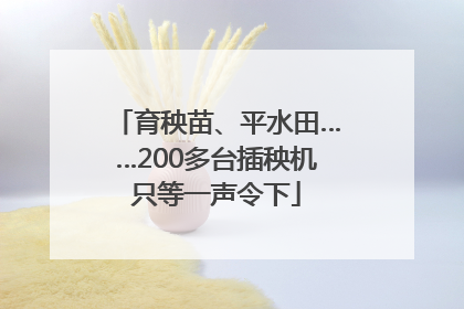 育秧苗、平水田……200多台插秧机只等一声令下