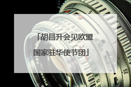 胡昌升会见欧盟国家驻华使节团