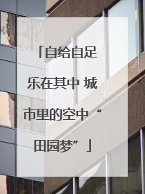 自给自足 乐在其中 城市里的空中“田园梦”