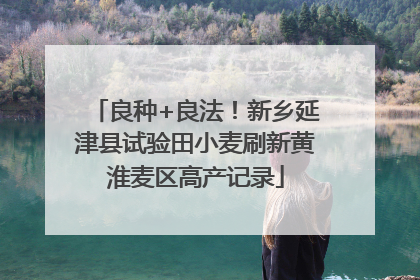 良种+良法！新乡延津县试验田小麦刷新黄淮麦区高产记录