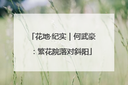 花地·纪实｜何武豪：繁花院落对斜阳