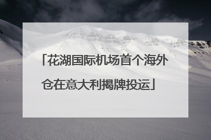 花湖国际机场首个海外仓在意大利揭牌投运