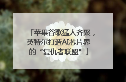 苹果谷歌猛人齐聚，英特尔打造AI芯片界的“复仇者联盟”