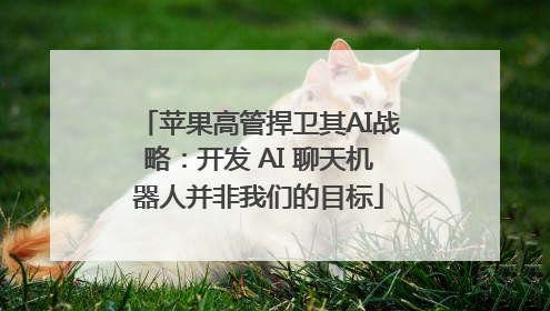 苹果高管捍卫其AI战略：开发 AI 聊天机器人并非我们的目标