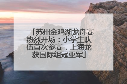 苏州金鸡湖龙舟赛热烈开场：小学生队伍首次参赛，上海龙获国际组冠亚军