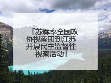 苏辉率全国政协视察团到江苏开展民主监督性视察活动