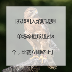 苏超引入熔断规则：单场净胜球超过8个，比赛立即终止