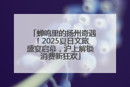 蝉鸣里的扬州奇遇！2025夏日文旅盛宴启幕，沪上解锁消费新狂欢