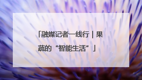 融媒记者一线行｜果蔬的“智能生活”
