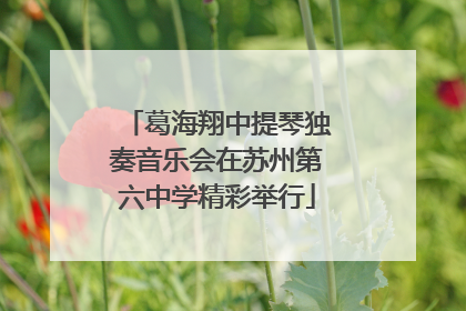 葛海翔中提琴独奏音乐会在苏州第六中学精彩举行