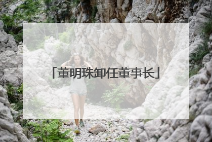 董明珠卸任董事长
