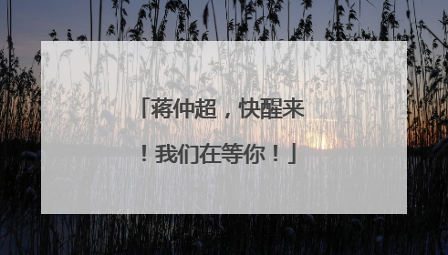 蒋仲超，快醒来！我们在等你！