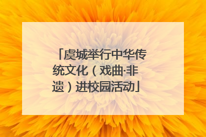 虞城举行中华传统文化（戏曲·非遗）进校园活动