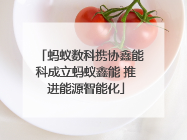 蚂蚁数科携协鑫能科成立蚂蚁鑫能 推进能源智能化