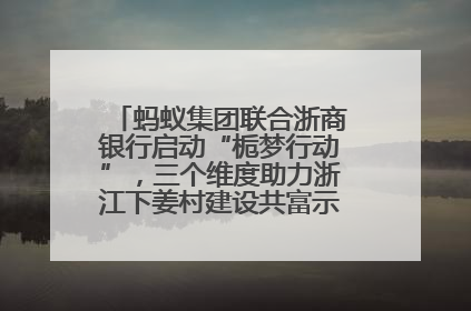 蚂蚁集团联合浙商银行启动“栀梦行动”，三个维度助力浙江下姜村建设共富示范区示范点