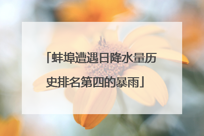 蚌埠遭遇日降水量历史排名第四的暴雨