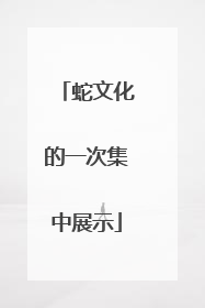 蛇文化的一次集中展示